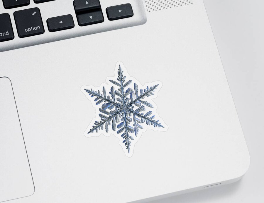 Real snowflake 2018-12-18_3 Sticker